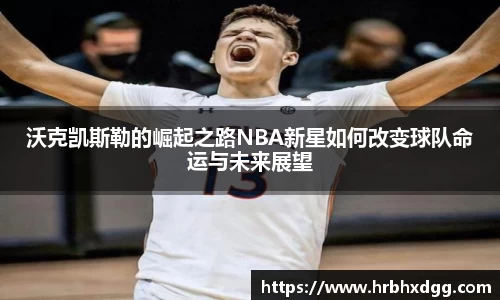 bsports官网